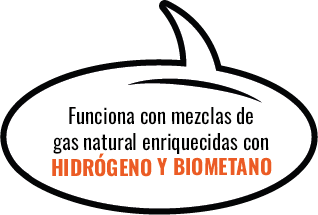 HIDRÓGENO Y BIOMETANO