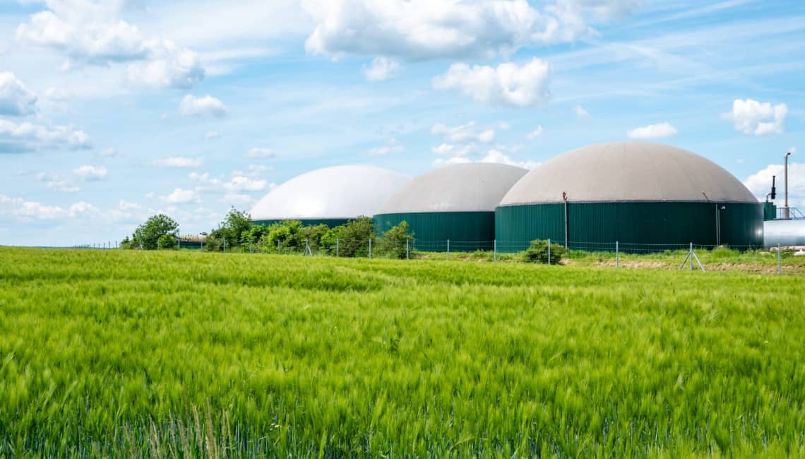 El futuro del Biometano en España